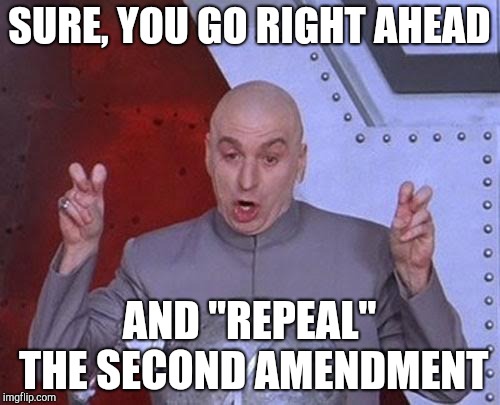 Dr Evil Laser Meme | SURE, YOU GO RIGHT AHEAD; AND "REPEAL" THE SECOND AMENDMENT | image tagged in memes,dr evil laser | made w/ Imgflip meme maker