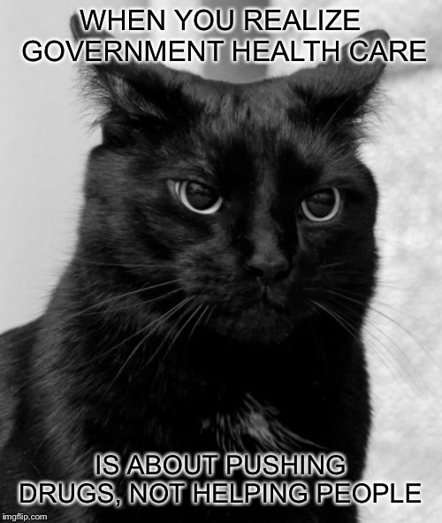 Pharmaceutical companies sacrifice your children's health for profit  | WHEN YOU REALIZE GOVERNMENT HEALTH CARE; IS ABOUT PUSHING DRUGS, NOT HELPING PEOPLE | image tagged in black cat pissed,politics,healthcare | made w/ Imgflip meme maker