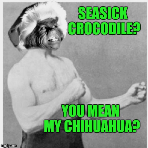 SEASICK CROCODILE? YOU MEAN MY CHIHUAHUA? | made w/ Imgflip meme maker