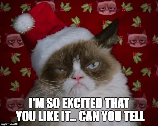 Grumpy Cat Christmas | I'M SO EXCITED THAT YOU LIKE IT... CAN YOU TELL | image tagged in grumpy cat christmas | made w/ Imgflip meme maker