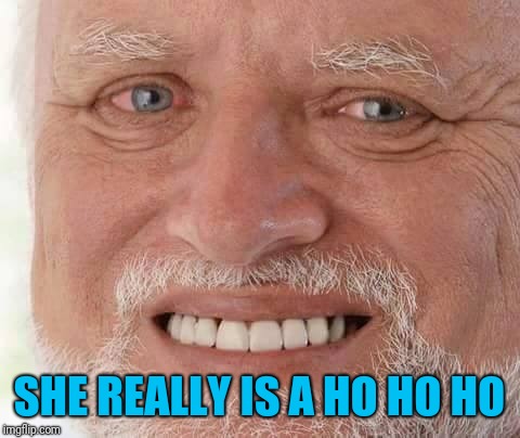 harold smiling | SHE REALLY IS A HO HO HO | image tagged in harold smiling | made w/ Imgflip meme maker