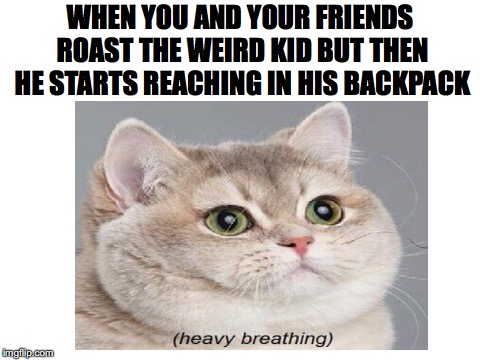 *Heavy breathing* | WHEN YOU AND YOUR FRIENDS ROAST THE WEIRD KID BUT THEN HE STARTS REACHING IN HIS BACKPACK | image tagged in memes,funny,dank memes,school shooting,heavy breathing,cats | made w/ Imgflip meme maker