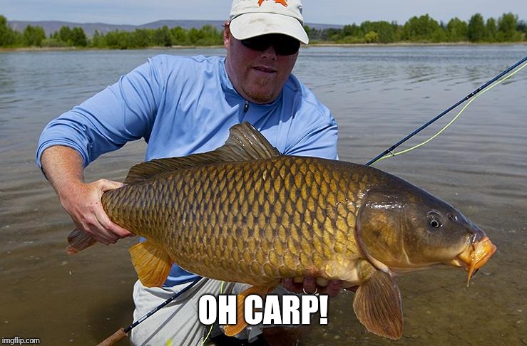 OH CARP! | made w/ Imgflip meme maker