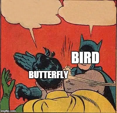 Batman Slapping Robin Meme | BIRD BUTTERFLY | image tagged in memes,batman slapping robin | made w/ Imgflip meme maker
