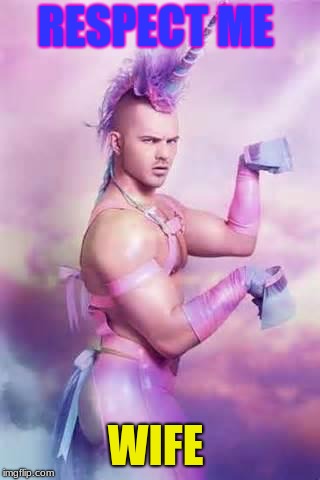 Gay Unicorn | RESPECT ME; WIFE | image tagged in gay unicorn | made w/ Imgflip meme maker