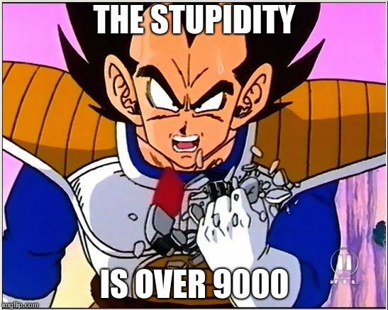 Vegeta over 9000 | THE STUPIDITY; IS OVER 9000 | image tagged in vegeta over 9000 | made w/ Imgflip meme maker