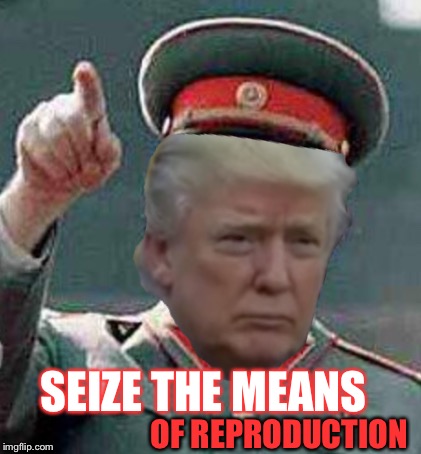 GRAB HER BY THE WHAT ? | SEIZE THE MEANS; OF REPRODUCTION | image tagged in communist socialist,communist propaganda slogans,trump sexist quote,funny | made w/ Imgflip meme maker