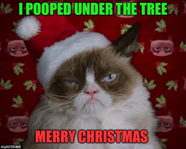 Grumpy Cat Christmas | I POOPED UNDER THE TREE; MERRY CHRISTMAS | image tagged in grumpy cat christmas | made w/ Imgflip meme maker
