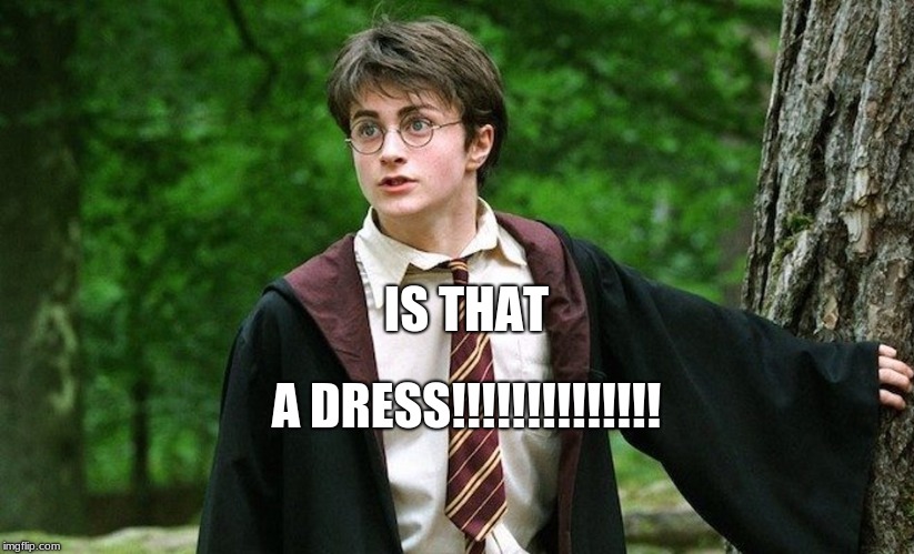 IS THAT; A DRESS!!!!!!!!!!!!!! | image tagged in images,google images,oh hell no | made w/ Imgflip meme maker