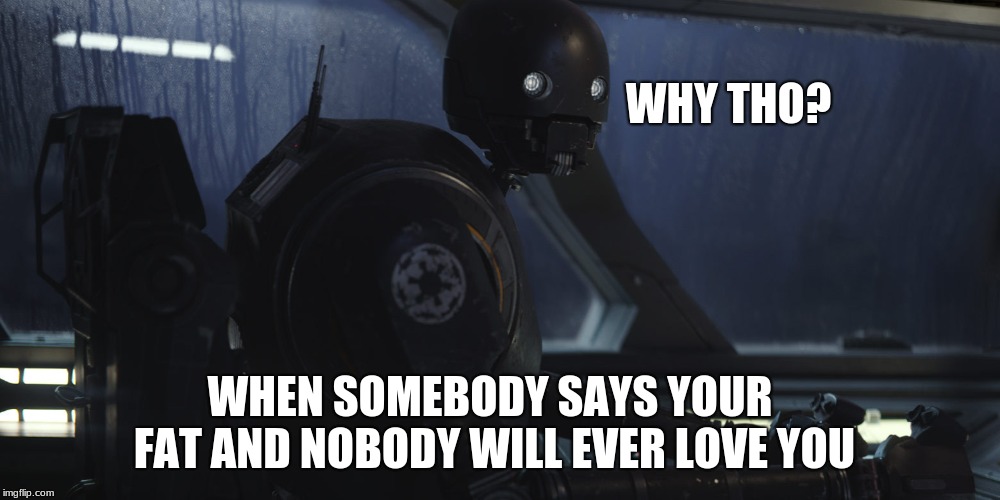 K2SO | WHY THO? WHEN SOMEBODY SAYS YOUR FAT AND NOBODY WILL EVER LOVE YOU | image tagged in k2so | made w/ Imgflip meme maker