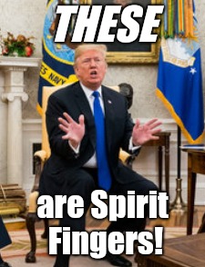 Spirit Fingers | THESE; are Spirit Fingers! | image tagged in funny,bring it on,donald trump,trump,lol | made w/ Imgflip meme maker
