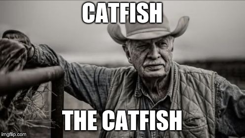 So God Made A Farmer Meme | CATFISH THE CATFISH | image tagged in memes,so god made a farmer | made w/ Imgflip meme maker