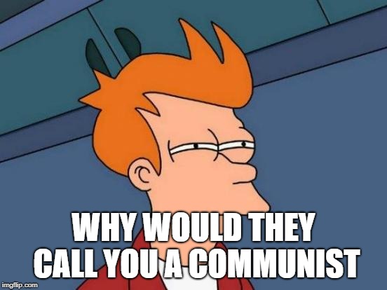 Futurama Fry Meme | WHY WOULD THEY CALL YOU A COMMUNIST | image tagged in memes,futurama fry | made w/ Imgflip meme maker