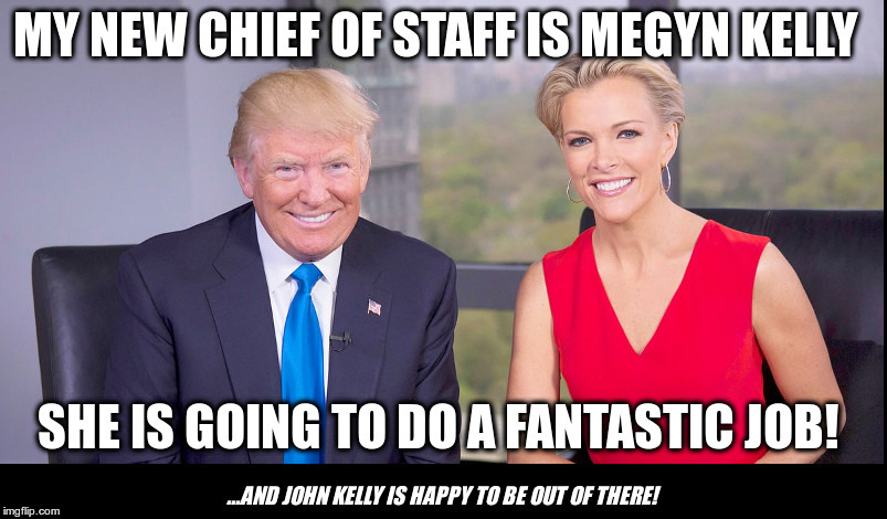 Wring Out The Old Kelly, Ring In The New One? | image tagged in donald trump,john kelly,megyn kelly,--could they be cousins-- | made w/ Imgflip meme maker