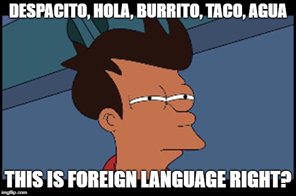 Ethnic Fry | DESPACITO, HOLA, BURRITO, TACO, AGUA; THIS IS FOREIGN LANGUAGE RIGHT? | image tagged in ethnic fry | made w/ Imgflip meme maker