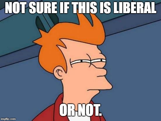 Futurama Fry Meme | NOT SURE IF THIS IS LIBERAL OR NOT. | image tagged in memes,futurama fry | made w/ Imgflip meme maker
