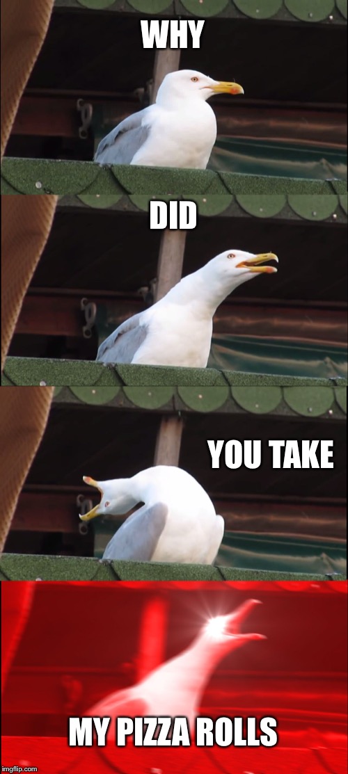 Inhaling Seagull | WHY; DID; YOU TAKE; MY PIZZA ROLLS | image tagged in memes,inhaling seagull | made w/ Imgflip meme maker