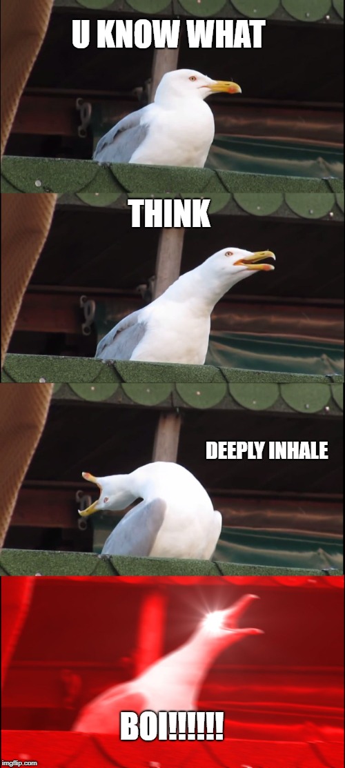 Inhaling Seagull Meme | U KNOW WHAT; THINK; DEEPLY INHALE; BOI!!!!!! | image tagged in memes,inhaling seagull | made w/ Imgflip meme maker
