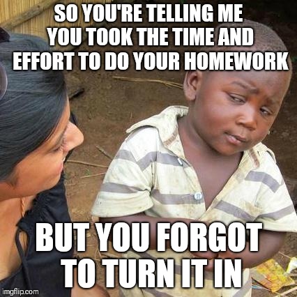 Third World Skeptical Kid Meme | SO YOU'RE TELLING ME YOU TOOK THE TIME AND EFFORT TO DO YOUR HOMEWORK; BUT YOU FORGOT TO TURN IT IN | image tagged in memes,third world skeptical kid | made w/ Imgflip meme maker