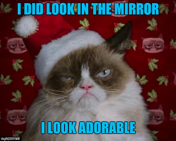 Grumpy Cat Christmas | I DID LOOK IN THE MIRROR I LOOK ADORABLE | image tagged in grumpy cat christmas | made w/ Imgflip meme maker