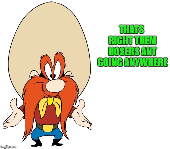 THATS RIGHT THEM HOSERS ANT GOING ANYWHERE | image tagged in yosemite sam | made w/ Imgflip meme maker