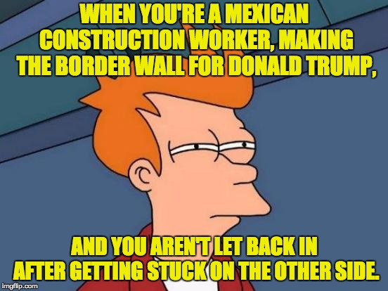 Futurama Fry | WHEN YOU'RE A MEXICAN CONSTRUCTION WORKER, MAKING THE BORDER WALL FOR DONALD TRUMP, AND YOU AREN'T LET BACK IN AFTER GETTING STUCK ON THE OTHER SIDE. | image tagged in memes,futurama fry | made w/ Imgflip meme maker