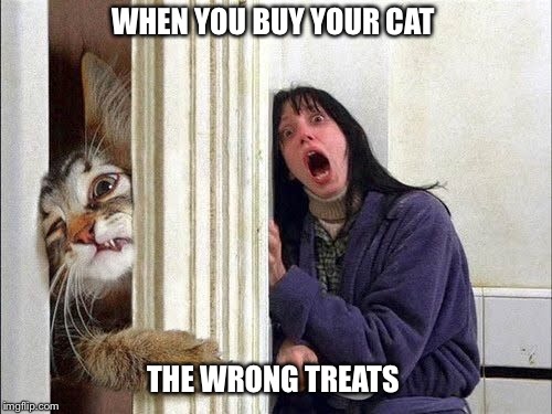 WHEN YOU BUY YOUR CAT; THE WRONG TREATS | image tagged in cat,angry,cat treats,crazy cat,finicky,pets | made w/ Imgflip meme maker