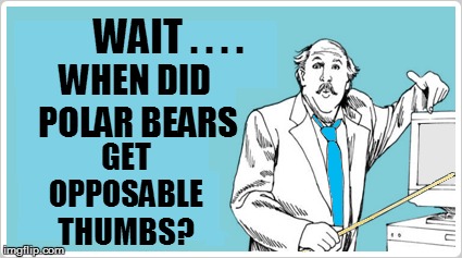 WAIT . . . . GET OPPOSABLE THUMBS? WHEN DID POLAR BEARS | made w/ Imgflip meme maker