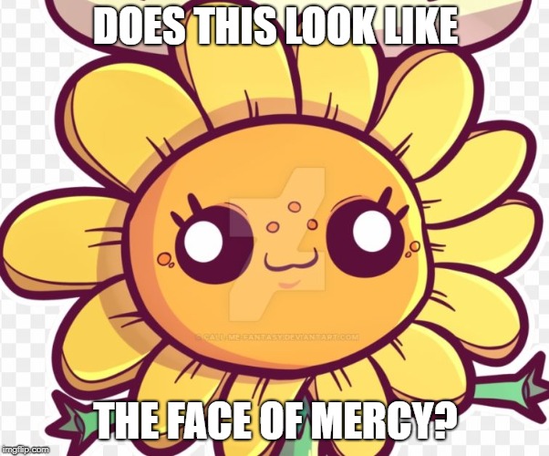 DOES THIS LOOK LIKE; THE FACE OF MERCY? | image tagged in does this look like the face of mercy | made w/ Imgflip meme maker