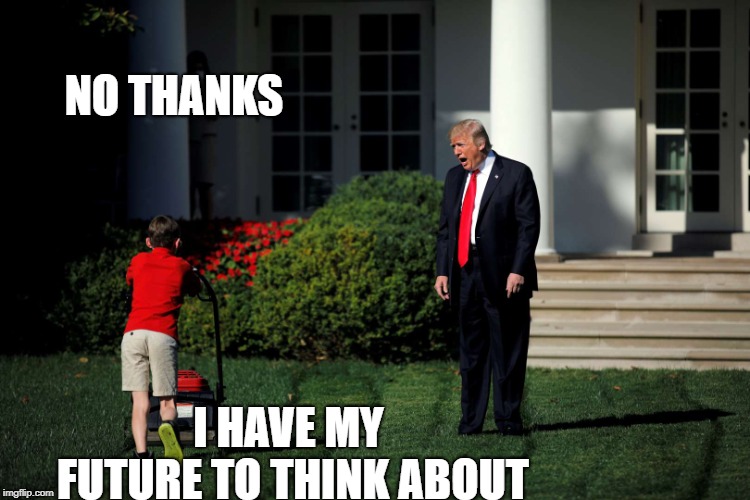 Angry Trump Lawn | NO THANKS I HAVE MY FUTURE TO THINK ABOUT | image tagged in angry trump lawn | made w/ Imgflip meme maker