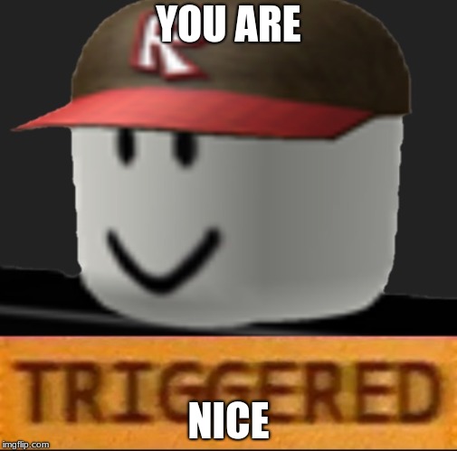 Roblox Triggered | YOU ARE; NICE | image tagged in roblox triggered | made w/ Imgflip meme maker