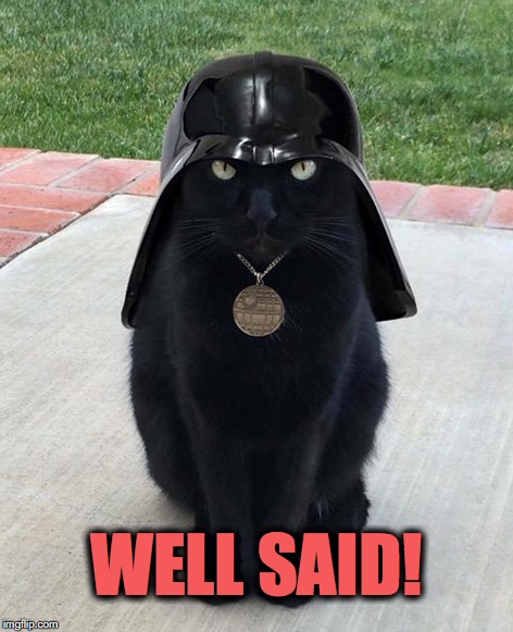 vadar kitty | WELL SAID! | image tagged in vadar kitty | made w/ Imgflip meme maker
