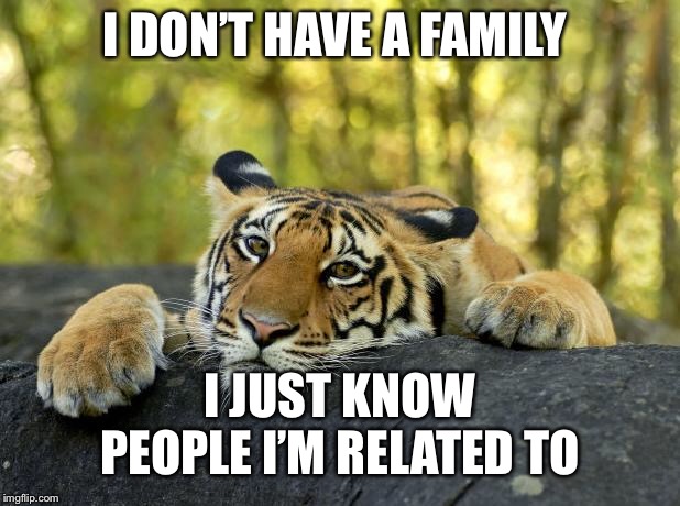 Confession Tiger |  I DON’T HAVE A FAMILY; I JUST KNOW PEOPLE I’M RELATED TO | image tagged in confession tiger | made w/ Imgflip meme maker