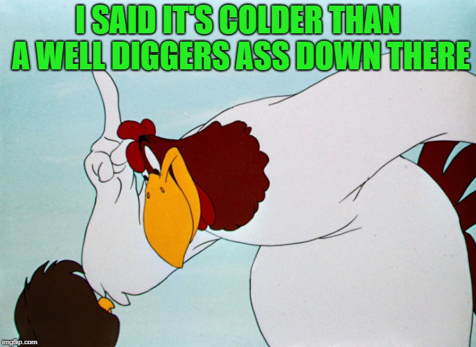 fog horn | I SAID IT'S COLDER THAN A WELL DIGGERS ASS DOWN THERE | image tagged in fog horn | made w/ Imgflip meme maker