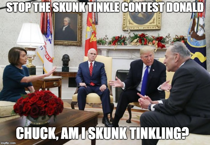 Don The Skunk Tinkler | STOP THE SKUNK TINKLE CONTEST DONALD; CHUCK, AM I SKUNK TINKLING? | image tagged in donald trump,nancy pelosi,chuck schumer,mike pence | made w/ Imgflip meme maker