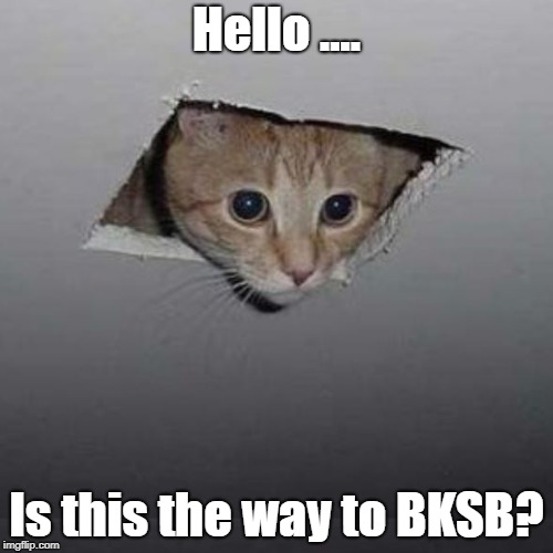 Bksb | Hello .... Is this the way to BKSB? | image tagged in english,memes | made w/ Imgflip meme maker