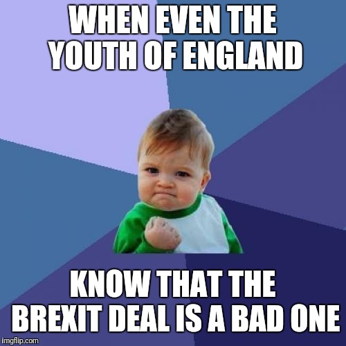 Success Kid Meme | WHEN EVEN THE YOUTH OF ENGLAND; KNOW THAT THE BREXIT DEAL IS A BAD ONE | image tagged in memes,success kid | made w/ Imgflip meme maker
