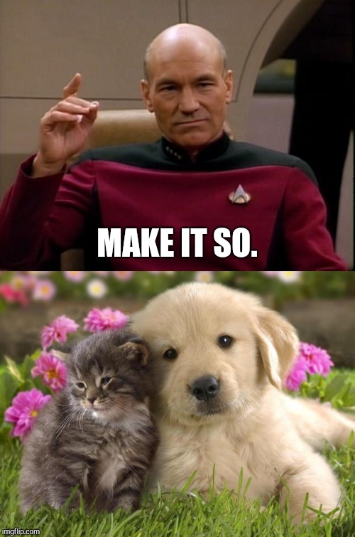 MAKE IT SO. | image tagged in picard make it so,puppies and kittens | made w/ Imgflip meme maker