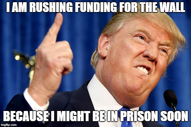 Donald Trump | I AM RUSHING FUNDING FOR THE WALL BECAUSE I MIGHT BE IN PRISON SOON | image tagged in donald trump | made w/ Imgflip meme maker