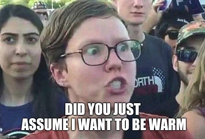 Triggered Liberal | DID YOU JUST ASSUME I WANT TO BE WARM | image tagged in triggered liberal | made w/ Imgflip meme maker