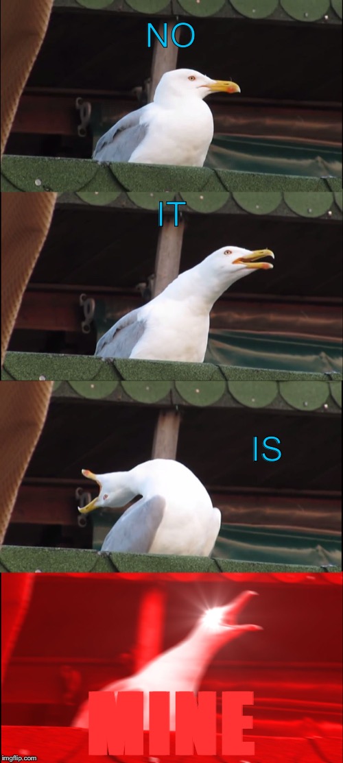 Inhaling Seagull Meme | NO IT IS MINE | image tagged in memes,inhaling seagull | made w/ Imgflip meme maker