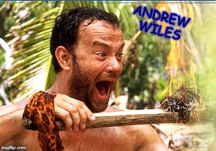 Castaway Fire | ANDREW WILES | image tagged in memes,castaway fire | made w/ Imgflip meme maker