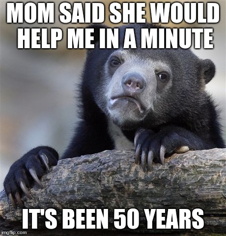 Confession Bear Meme | MOM SAID SHE WOULD HELP ME IN A MINUTE; IT'S BEEN 50 YEARS | image tagged in memes,confession bear | made w/ Imgflip meme maker