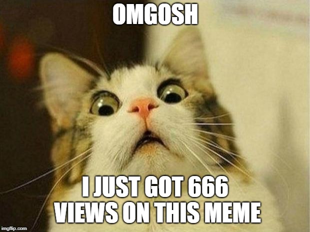 Scared Cat Meme | OMGOSH I JUST GOT 666 VIEWS ON THIS MEME | image tagged in memes,scared cat | made w/ Imgflip meme maker