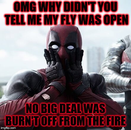 omg | OMG WHY DIDN'T YOU TELL ME MY FLY WAS OPEN; NO BIG DEAL WAS BURN'T OFF FROM THE FIRE | image tagged in memes,deadpool surprised,meme,funny memes,funny meme,funy | made w/ Imgflip meme maker