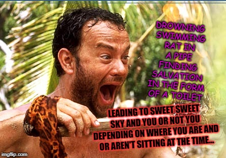Castaway Fire | DROWNING SWIMMING RAT IN A PIPE FINDING SALVATION IN THE FORM OF A TOILET; LEADING TO SWEET SWEET SKY AND YOU OR NOT YOU DEPENDING ON WHERE YOU ARE AND OR AREN'T SITTING AT THE TIME... | image tagged in memes,castaway fire | made w/ Imgflip meme maker
