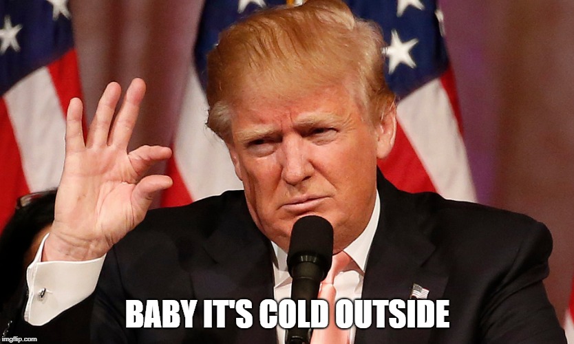 Global Warming | BABY IT'S COLD OUTSIDE | image tagged in trump,baby,cold,outside,bobarotski | made w/ Imgflip meme maker