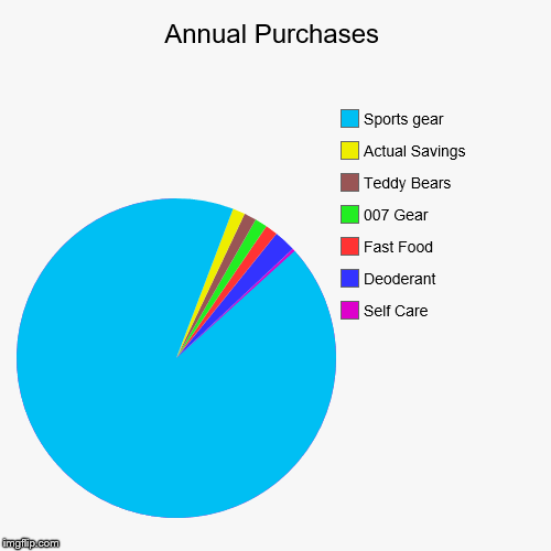 Annual Purchases | Self Care, Deoderant , Fast Food, 007 Gear, Teddy Bears, Actual Savings, Sports gear | image tagged in funny,pie charts | made w/ Imgflip chart maker