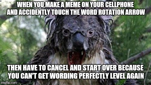 Angry Koala Meme | WHEN YOU MAKE A MEME ON YOUR CELLPHONE AND ACCIDENTLY TOUCH THE WORD ROTATION ARROW; THEN HAVE TO CANCEL AND START OVER BECAUSE YOU CAN'T GET WORDING PERFECTLY LEVEL AGAIN | image tagged in memes,angry koala | made w/ Imgflip meme maker