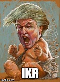 Trump-crybaby | IKR | image tagged in trump-crybaby | made w/ Imgflip meme maker